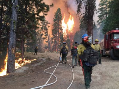 firefighters_intermountain_forest_service